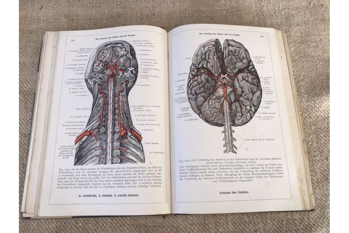 Антикварна немска книга Енциклопедия Анатомия на човешкото тяло 1945г