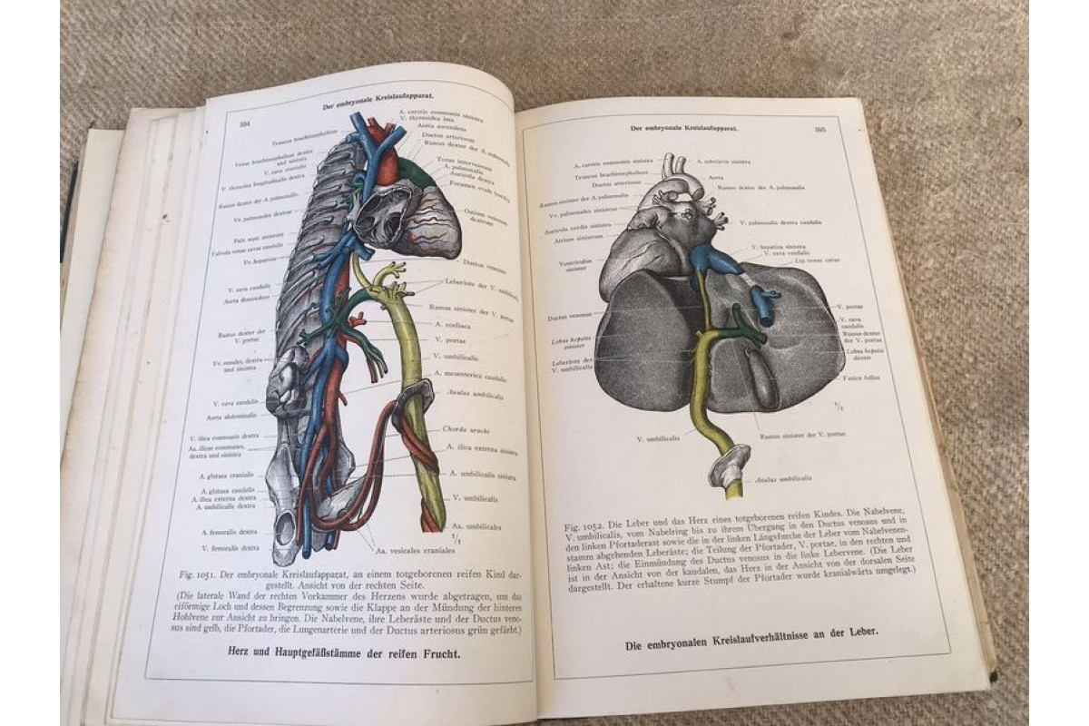 Антикварна немска книга Енциклопедия Анатомия на човешкото тяло 1945г