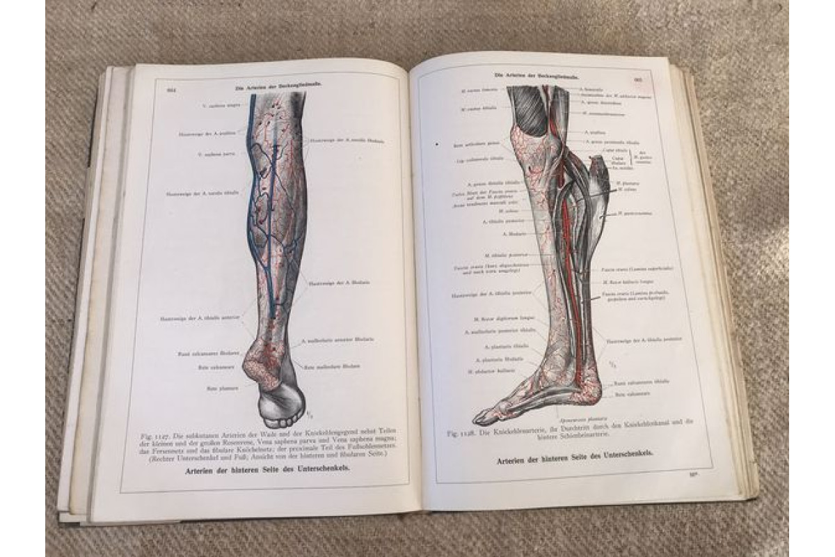 Антикварна немска книга Енциклопедия Анатомия на човешкото тяло 1945г