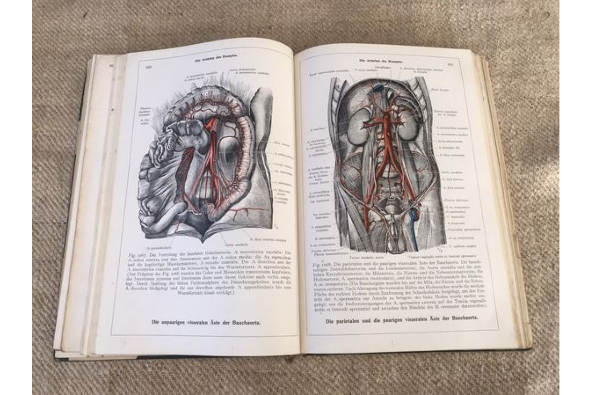 Антикварна немска книга Енциклопедия Анатомия на човешкото тяло 1945г