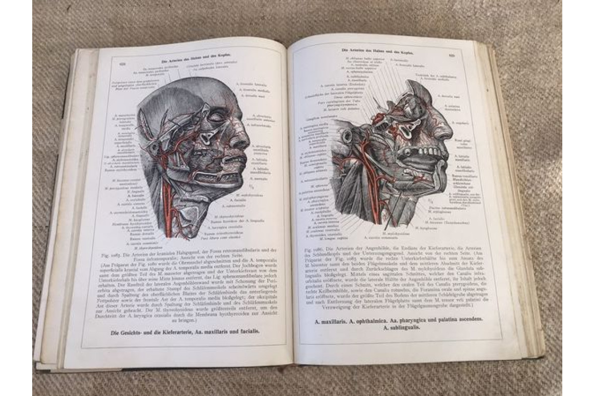 Антикварна немска книга Енциклопедия Анатомия на човешкото тяло 1945г